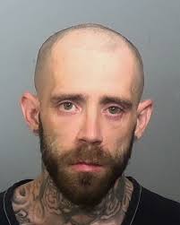 Cops: Man shot into home