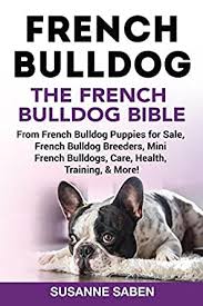 If you are looking for a loving frenchie puppy, click on the puppies tab above to view if you are just looking, be sure to also check out our puppy video page, showing some of our current and previous french bulldog puppies. French Bulldog The French Bulldog Bible From French Bulldog Puppies For Sale French Bulldog Breeders French Bulldog Breeders Mini French Bulldogs Health Training More English Edition Ebook Saben Susanne Amazon De Kindle Shop