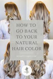Going back to natural hair will always be one of the many decisions you try with your hair at some point. How To Go Back To Your Natural Hair Color Natural Hair Color Natural Hair Styles Healthy Blonde Hair