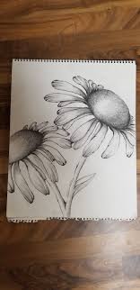 daisy drawing daisy drawing flower drawing sketchbook ideas inspiration