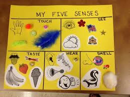 Five Senses Ideas For Preschool 5 Senses Preschool Craft