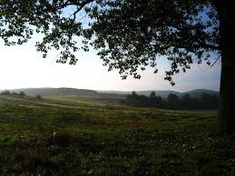 Maybe you would like to learn more about one of these? Sleeping Nature Mapio Net