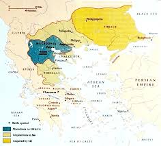 Image result for Vepris macedoi