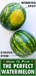 We did not find results for: How To Pick The Best Watermelon Super Ripe Sweet Evolving Table