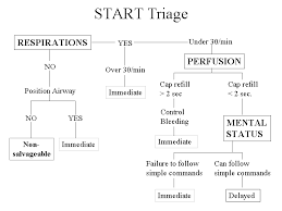 Image result for START Triage