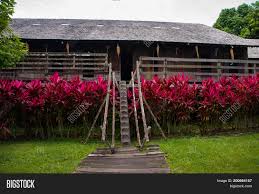 Bidayuh culture, tradition and belief. Traditional Wooden Image Photo Free Trial Bigstock