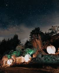 If you cancel within the first 14 days, the fee might be lower, or there might not be a fee at all. Te Gustaria Pasar Una Noche En Una Luna Como Esta Levitglamping Glamping Guatape Colombia Turismo Vialactea Ni Travel Insurance Cheap Travel Travel