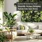 Biophilic Design: Bringing Nature Into Your Home..... event in Campbell, CA