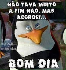 Meu marido é meu companheiro com uma paciência e bom humor inexplicáveis! Bom Dia Engracado Frases Para Whats