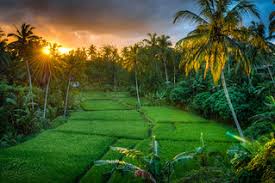 Gunung yang indah pantai yang indah hamparan padang rumput, pohon, dan gunung. Wallpaper Pemandangan Alam Indah Via Blogger Bit Ly 2bnvau Flickr