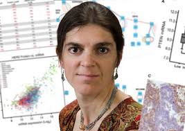 News archive for Department of Clinical Medicine