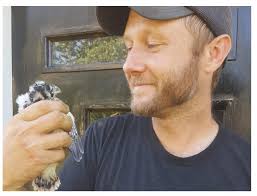 Kentucky Wild* NATURE QUIZ: What bird is this? A. Merlin B. Peregrine  Falcon C. American Kestrel D. Red-Tailed Hawk Hint: This small, resident  Kentucky falcon species benefits from properly built nest boxes,