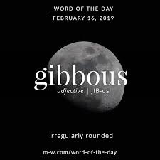Merriam Webster Merriamwebster Instagram Photos And Videos Word Of The Day Weird Words Unusual Words