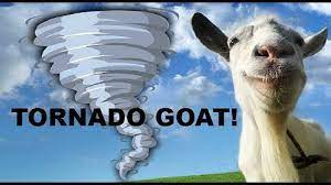 Similarly one may ask, how do you get the tornado goat in goat simulator 2020? Download How To Get The Evil Goat In Goat Simulator Mobile Mp3 Free And Mp4
