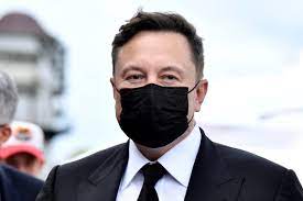 Hi elon, i made these princess dogenuts for you! Elon Musk Says Cryptocurrency Promising But Exercise Caution While Investing Technology News