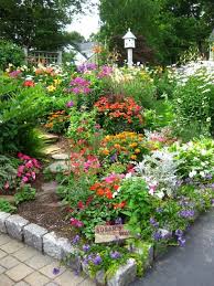 Perfect Who Needs A Beautiful Gorgeous Pretty Flo Beautiful Gardens Cottage Garden Beautiful Flowers Garden