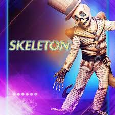 Pin On The Masked Singer Tms Season 1 Season 2