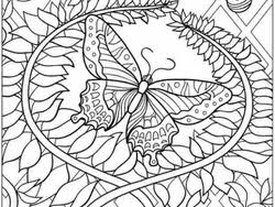 Butterflies are beautiful and elegant, a perfect subject for coloring. Coloring Pages For Adults Butterfly All Round Hobby