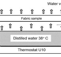 Water vapor permeability test (“cup” method). | Download ...