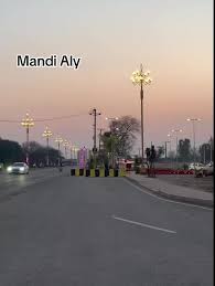 Mandi Aly