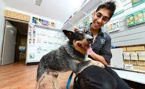 Mehr als 200.000 maschinen sofort verfügbar. Pampered Pets Battle The Bulge The Courier Mail