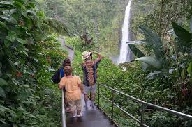 Hawaii tropical botanical garden photos. Big Island Photo Tour Waterfalls And Tropical Botanical Garden 2021 Big Island Of Hawaii