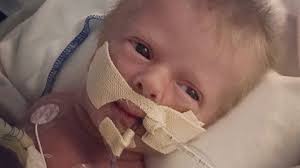 Fundraiser for Sarah Sanford by Paige VonTungeln : Warrior Baby Dane