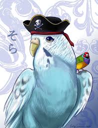 Sky The Budgie Pirate Colored Anime Style By Otakuec
