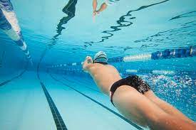 Underwater Swimmer By David Freund