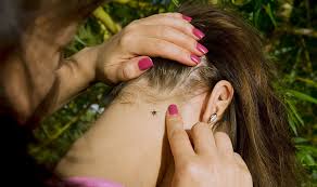 The rashes that appear during stage 2 differ from the rash that can appear in stage 1. Tick Borne Illness Tips To Stay Safe