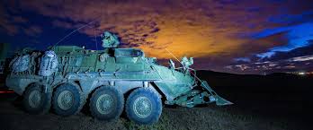 Image result for Blue 1995 AAV