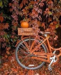 Kupferrot Ps Herbst Bilder Herbst Fotografie Herbst Malerei