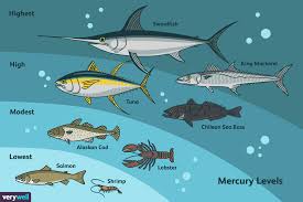 The Best Types Of Fish Ranked By Mercury Content In 2020 Mercury In Fish Types Of Fish Fish