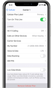 Recently, apple stopped giving free information about iphone carriers. Using Dual Sim With An Esim Apple Support
