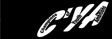 Champions Of Youth Ambitions Announces More Individual Nominations For  Community Asset Awards