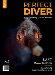 Make the world just below the surface of your aquarium come alive with this top fin coral reef aquarium background. Perfect Diver Magazine 3 Issue By Perfectdiver Issuu