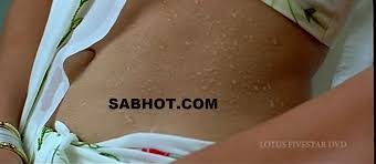 For more saree photos images visit actresssareephotos.blogspot.in/. Sneha Wet In Saree Navel Show Latest Hd Hot Closeup Pics Sabwood Com