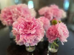 As these are delicate flowers it is best to use a pair of sharp scissors and cut off the faded flowers. How And When To Cut Peonies For A Vase Dengarden