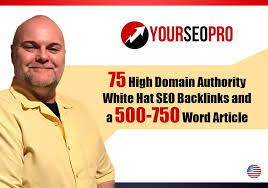 Zappallc I Will Do 75 Manual Google Seo Backlinks And Article With 40 Plus Da For 30 On Fiverr Com In 2020 Google Seo Backlinks Seo Agency