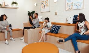 Dr steve smith has over 30 years of experience as a veterinarian, and if you don't need full service at home, virtual counseling is available for $75, by text or email. A New Kind Of Vet Clinic Animal Hospital In Nyc Bond Vet