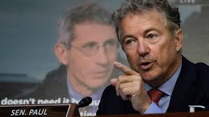 Rand Paul announces 'official criminal referral,' says email shows Fauci  COVID testimony 'absolutely a lie'