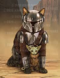 Meowndalorian 8 5x11 Print Etsy In 2021 Jenny Park Star Wars Humor Cat Illustration