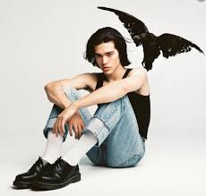 Conan Gray S Heather Lyrics Meaning Song Meanings And Facts