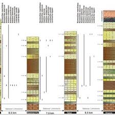 foraminiferal distribution chart of the early eocene chor