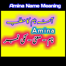 Examples of letters that are not found in the english . Amina Ø¢Ù…Ù†Û Name Meaning In Urdu English Tech Livess