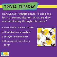Sep 30, 2020 · 40 bees quiz questions and answers: Can You Bee Sure About The Answer To This Trivia Tuesday Question Answer Here Https Www Facebook Com Ixl Photos A Trivia Tuesday Trivia Trivia Questions