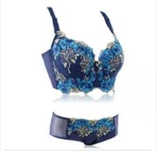 Visible Bra And Panties: Buy Visible Bra And Panties Online at Low ...