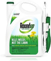 Sign up for free now for hacks, market analysis, inspiration and more. Amazon Com Roundup For Lawns1 Ready To Use All In One Weed Killer For Lawns Kills Weeds Not The Lawn One Solution For Crabgrass Dandelions Clover And Nutsedge For Use On Northern