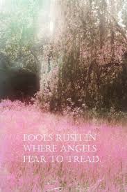 Fools Rush In Where Angels Fear To Tread Alexander Pope An Essay On Criticism Flower Field Lavender Fields France Pink Love