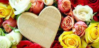 Dekoartikel günstig und bequem online kaufen! Home Blumen Fischer Reinfeld